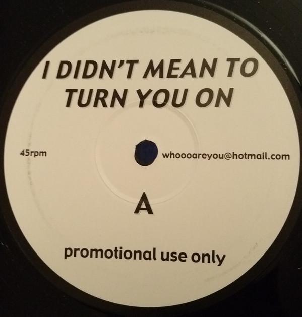  - I Didn't Mean To Turn You On / Rock Freak