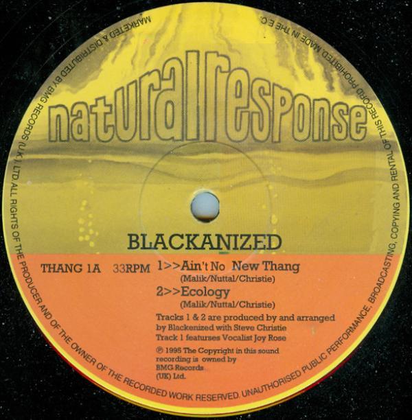 Blacka'nized - Ain't No New Thang