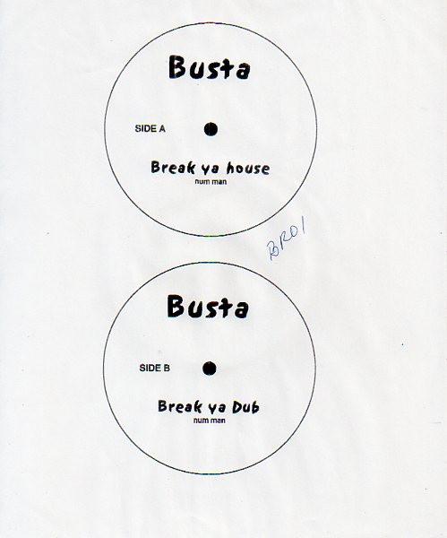 Busta Rhymes - Break Ya House