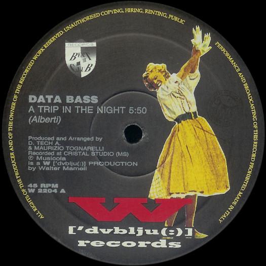 Data Bass - A Trip In The Night
