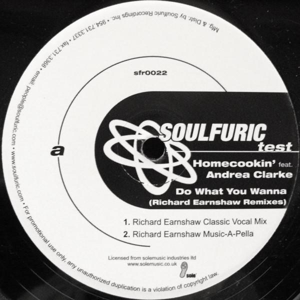 Homecookin', Andrea Clarke - Do What You Wanna (Richard Earnshaw Remixes)