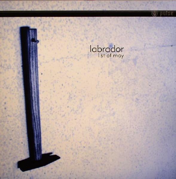 Labrador - 1st Of May