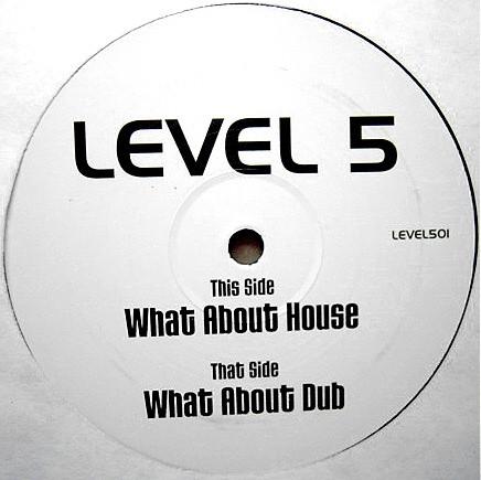 Level 5 - What About House