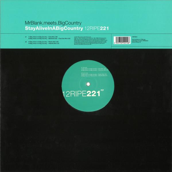 Mr. Blank, Big Country - Stay Alive In A Big Country