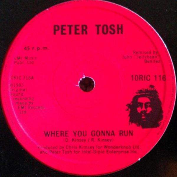 Peter Tosh - Where You Gonna Run / Stop That Train