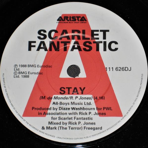 Scarlet Fantastic - Stay
