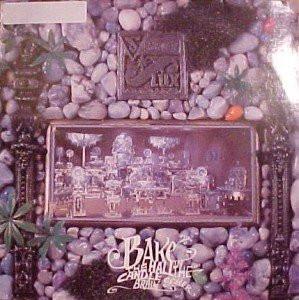 Senator Flux - Bake The Hall In The Candle Of Her Brain