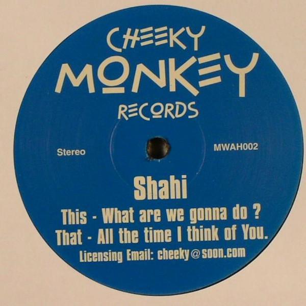 Shahi - What Are We Gonna Do ?