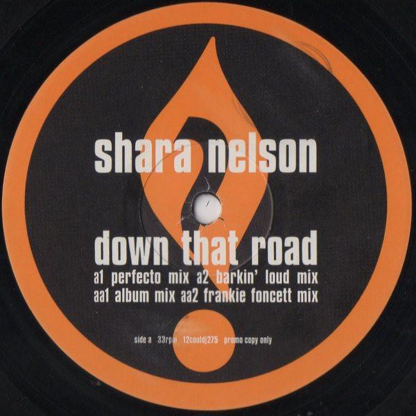 Shara Nelson - Down That Road