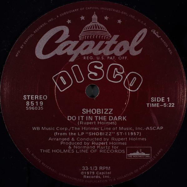 Shobizz - Do It In The Dark / We Are A Music Machine