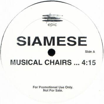 Siamese - Musical Chairs