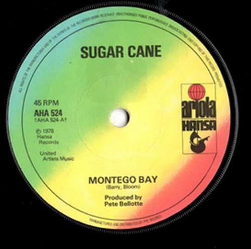 Sugar Cane - Montego Bay