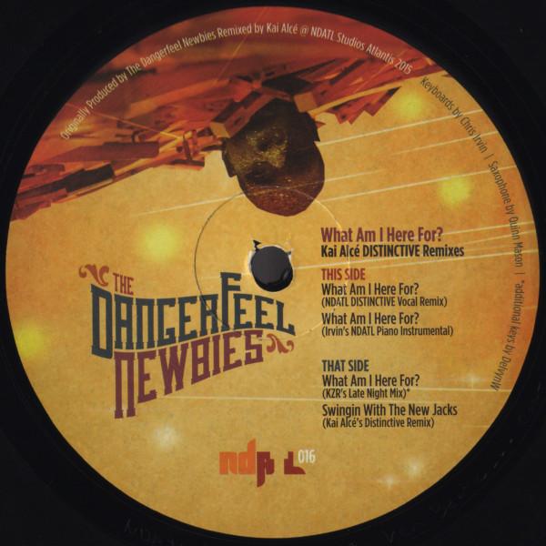 The Dangerfeel Newbies - What Am I Here For? (Kai Alcé DISTINCTIVE Remixes)