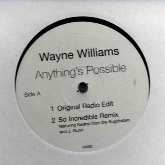Wayne Williams  - Anything's Possible
