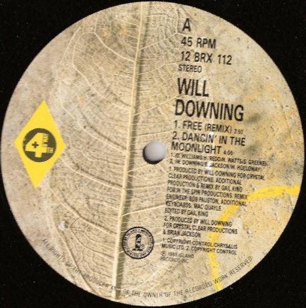 Will Downing - Free (The 'Freemix' E.P.)